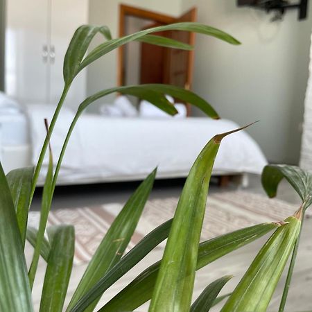 Agroni Rooms Τίρανα Εξωτερικό φωτογραφία