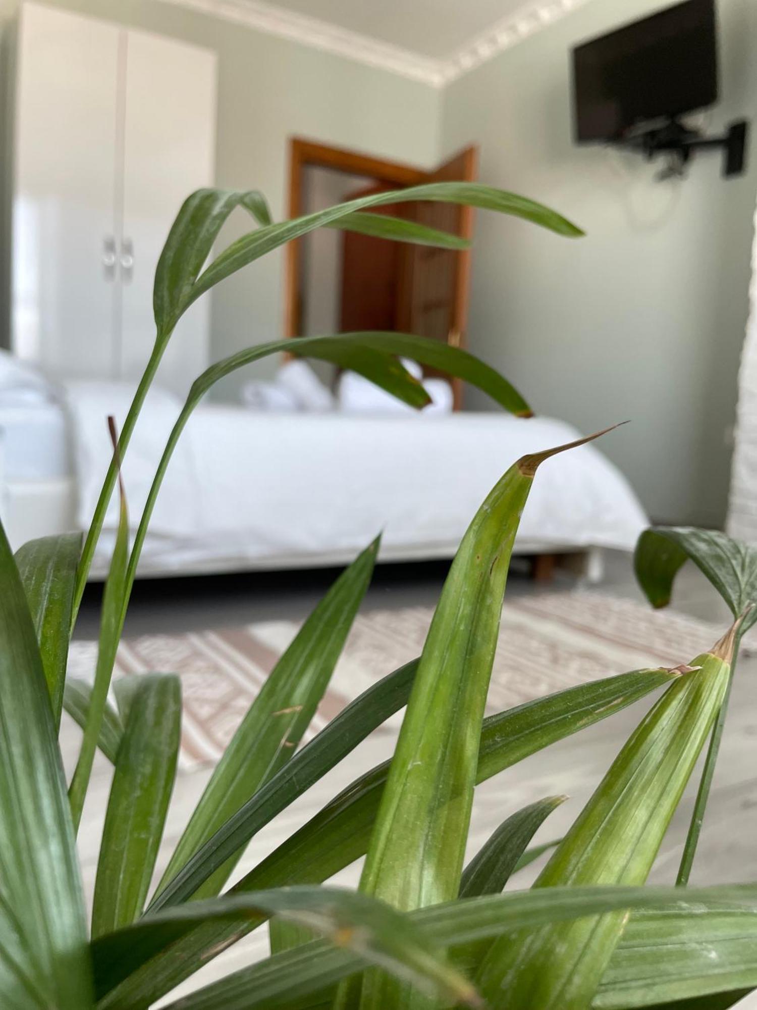 Agroni Rooms Τίρανα Εξωτερικό φωτογραφία
